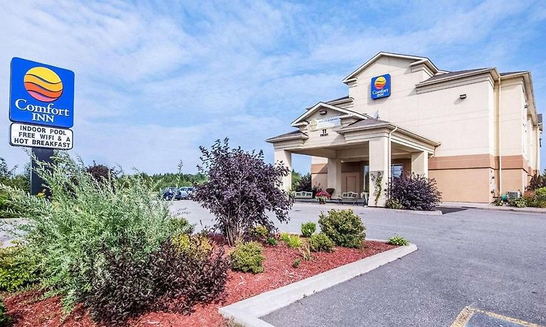 Comfort Inn Sturgeon Falls Room Rates From 85